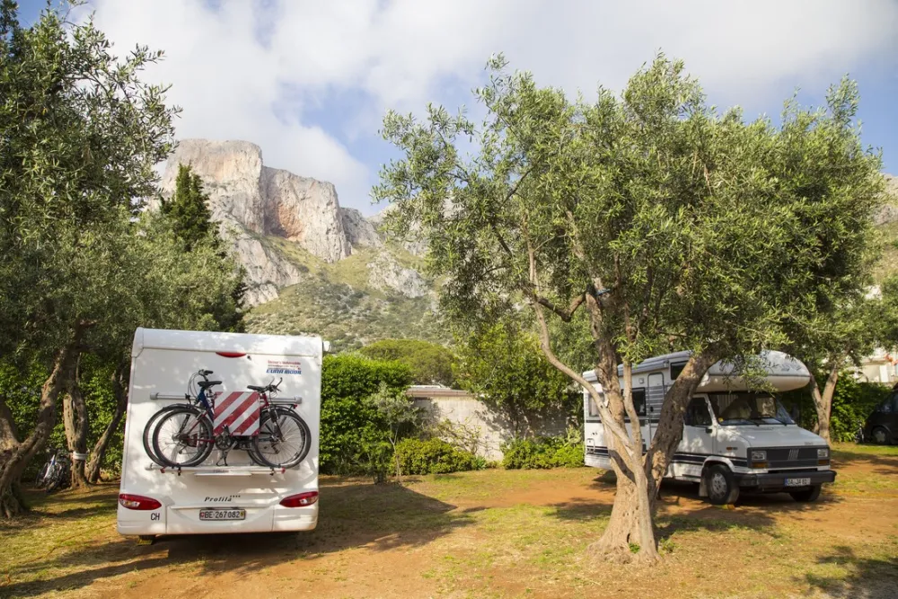 Campeggio Degli Ulivi