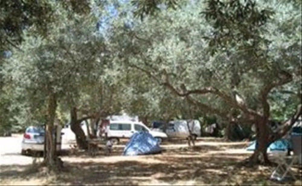 Campeggio Degli Ulivi