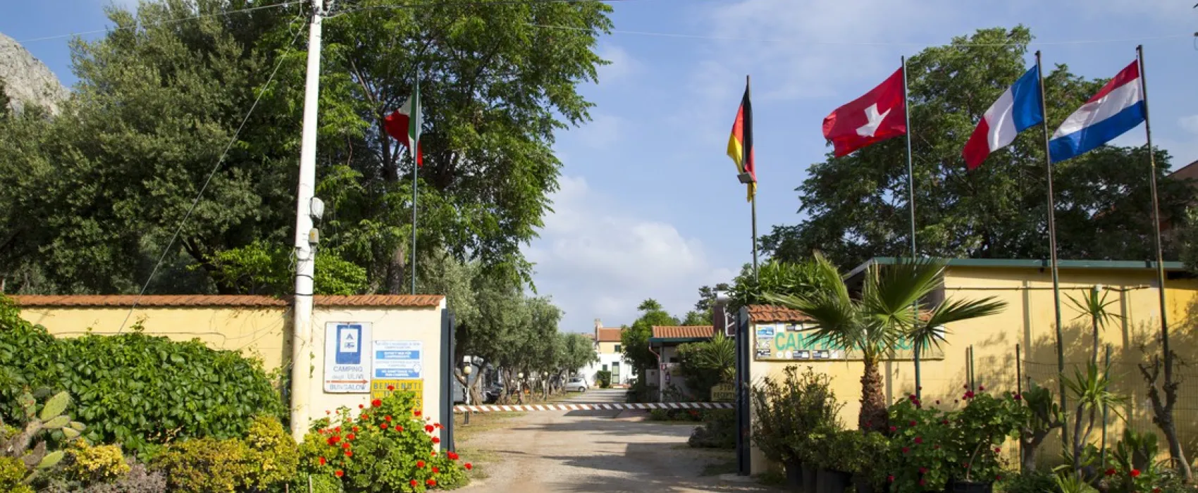 Campeggio Degli Ulivi