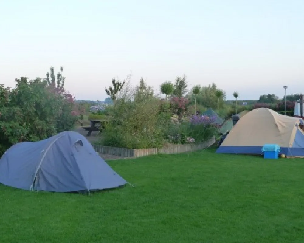 Camping Polderflora