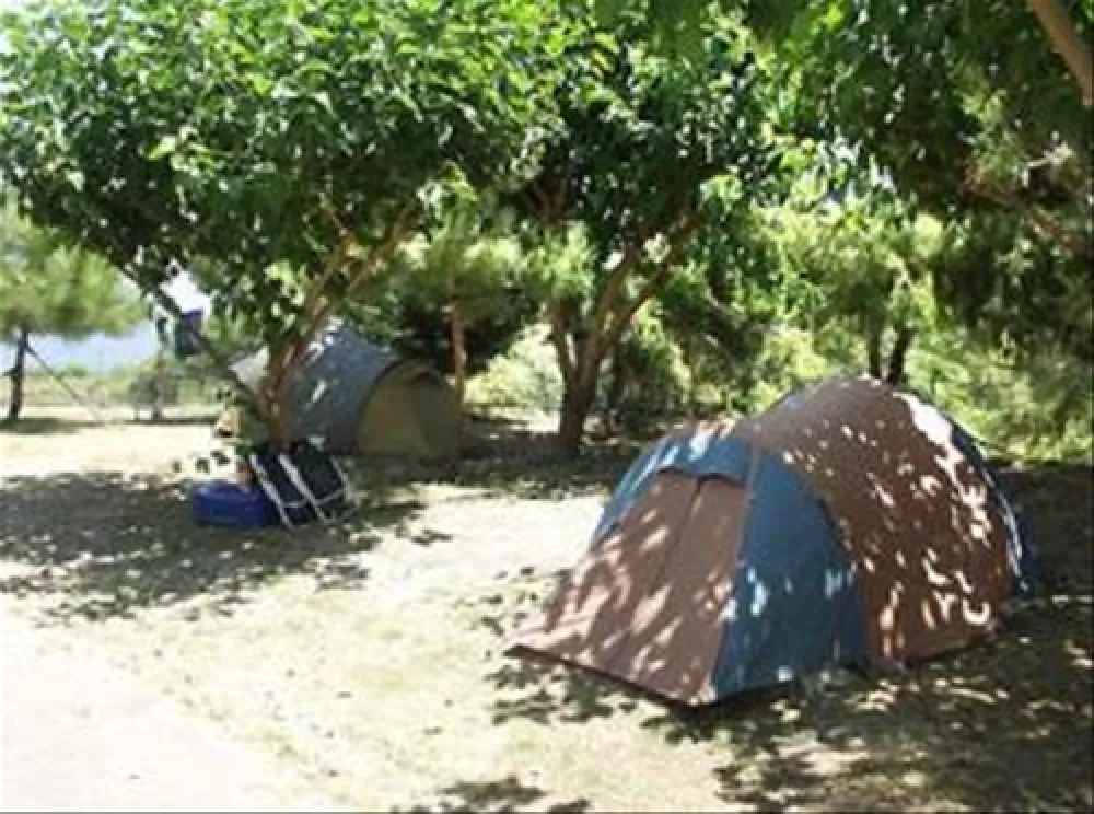 Campsite Zante
