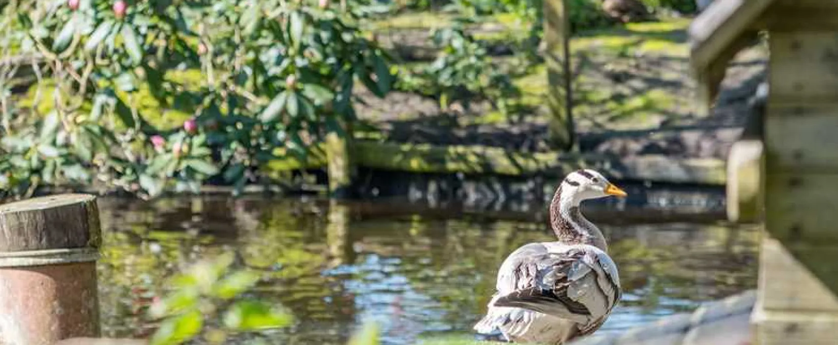 Sandyholme Holiday Park