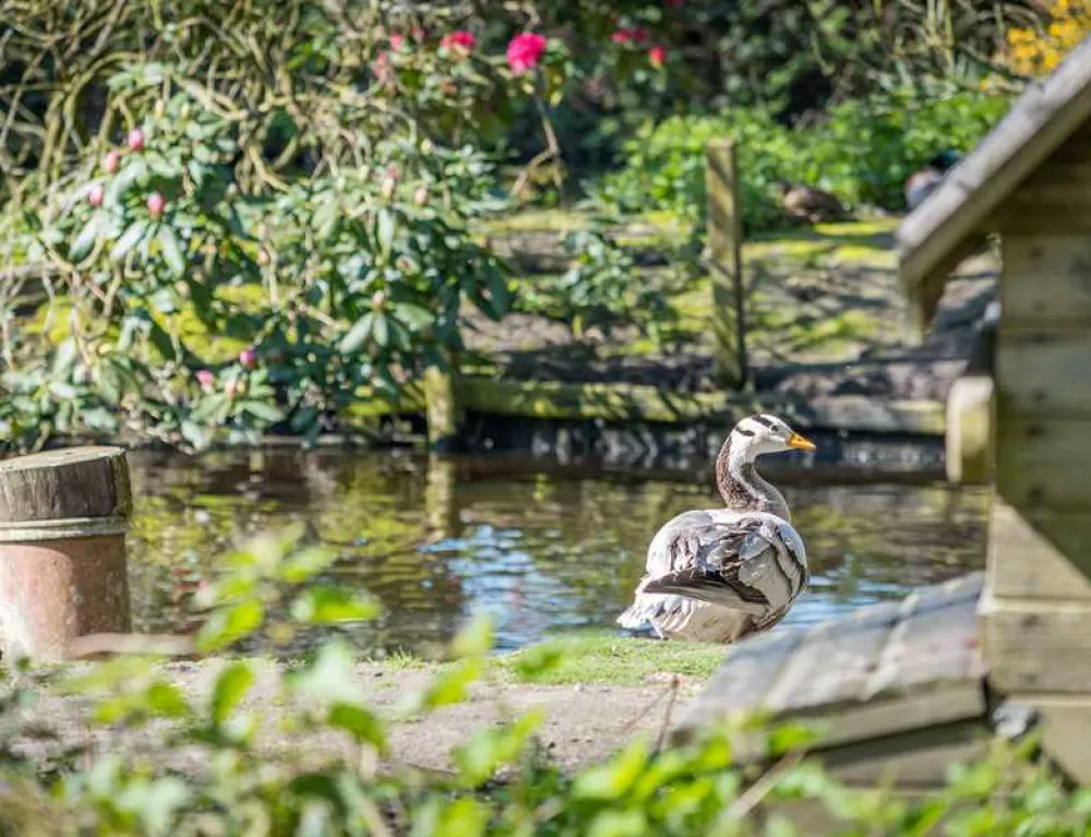 Sandyholme Holiday Park