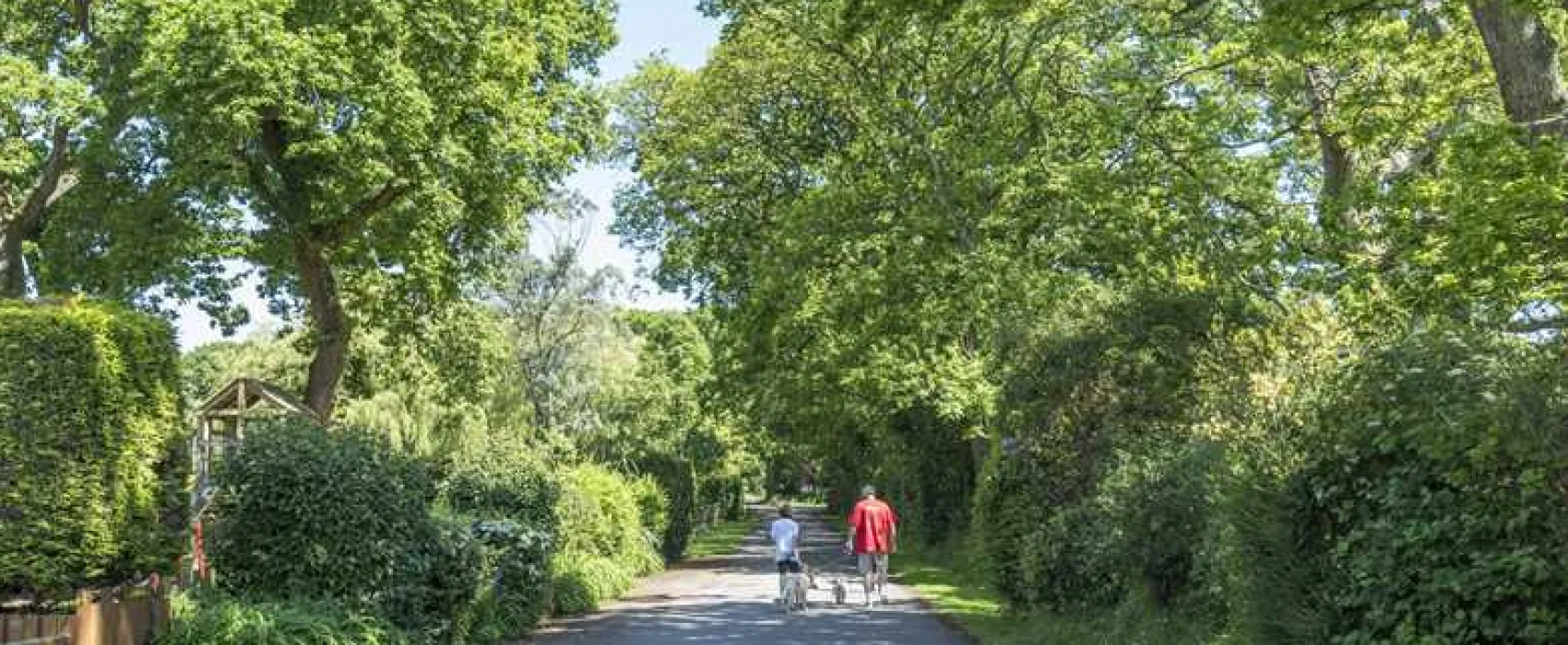 Sandyholme Holiday Park