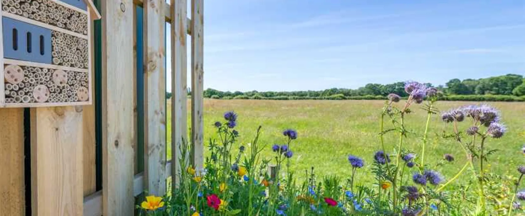 Sandyholme Holiday Park