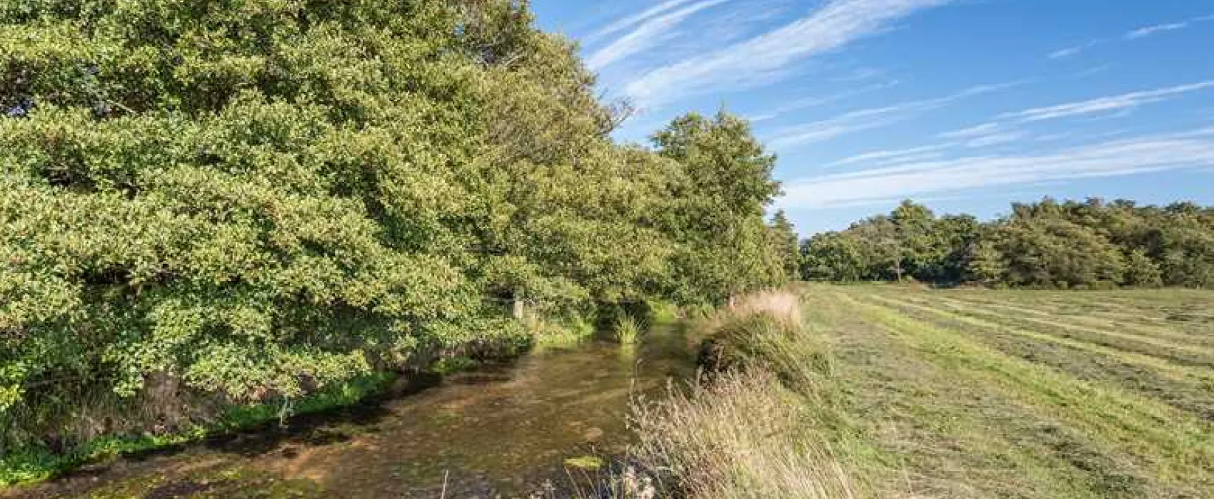 Sandyholme Holiday Park