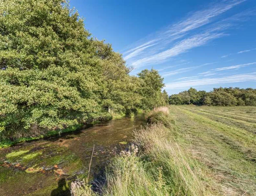 Sandyholme Holiday Park