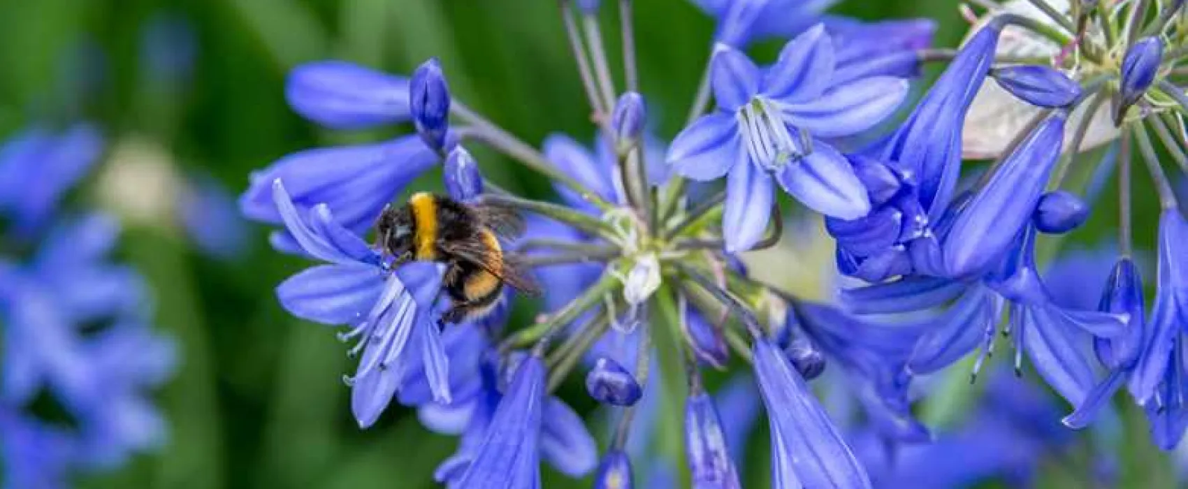 Sandyholme Holiday Park