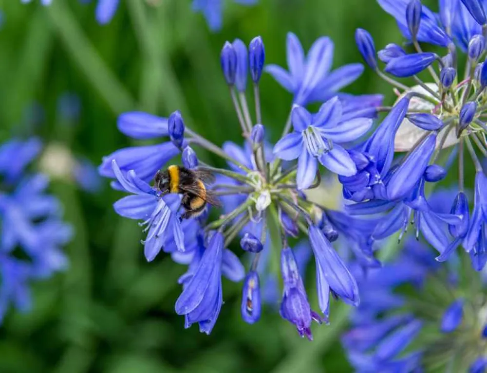 Sandyholme Holiday Park