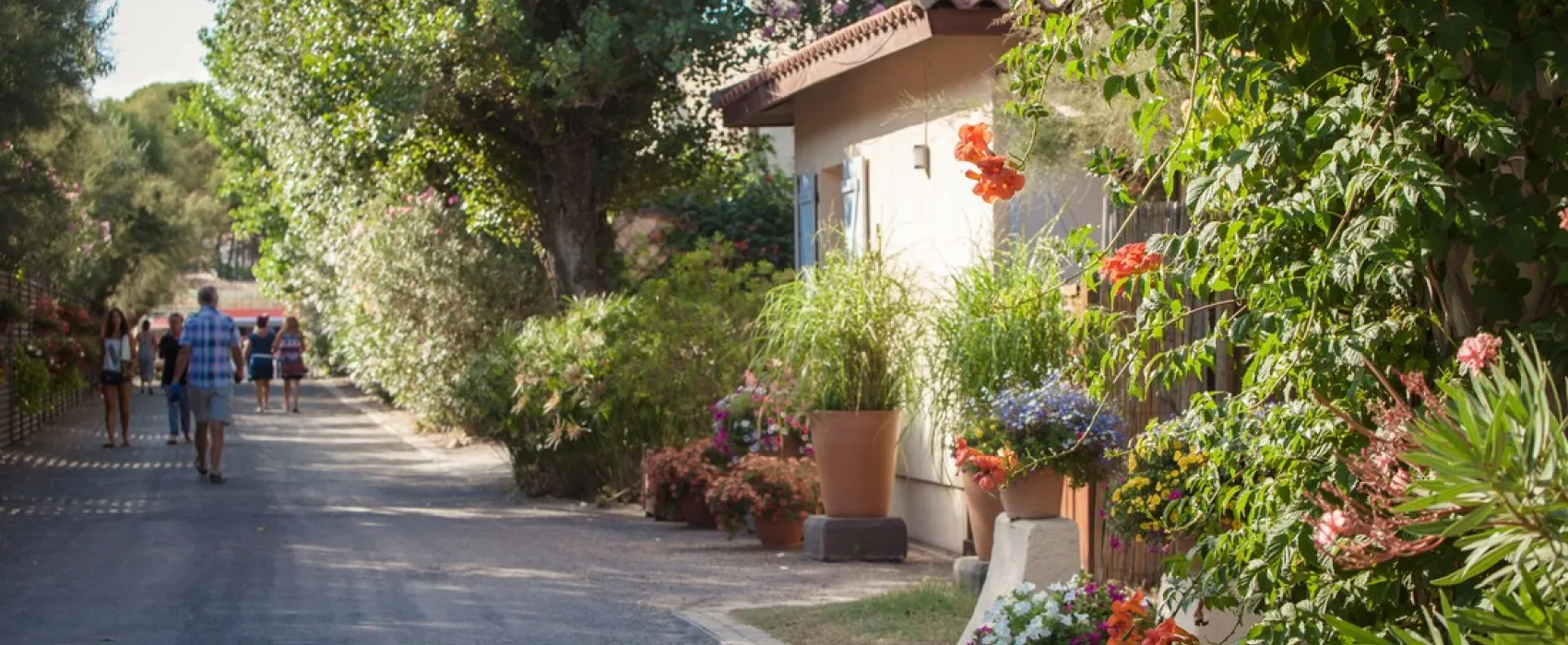 Camping Beauregard PLAGE