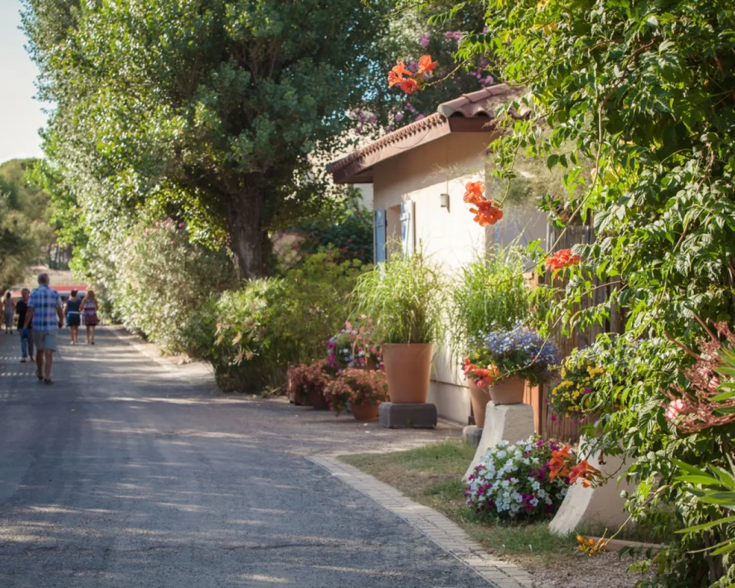 sonnensegel fr maxi cosi Maxi-Cosi Sonnenschutz