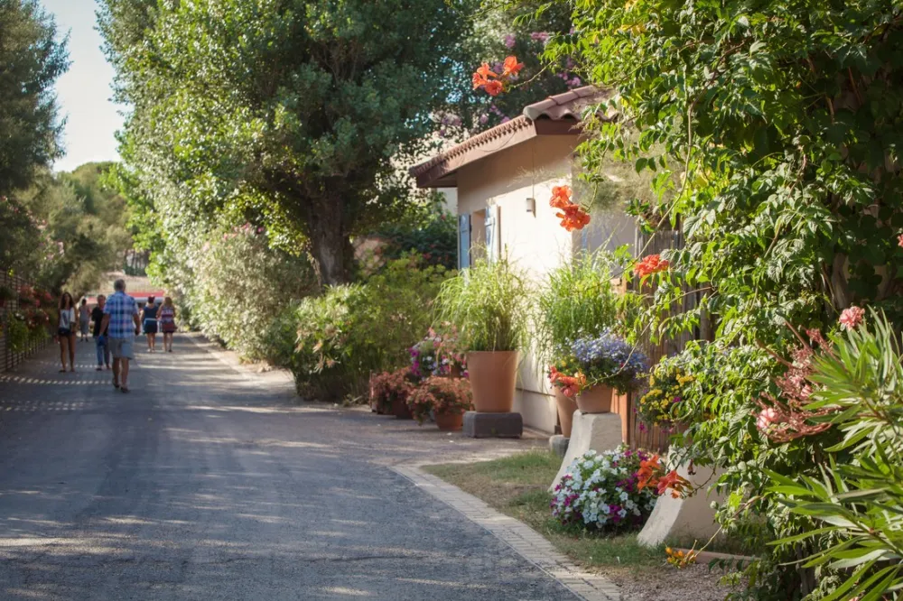 Camping Beauregard PLAGE