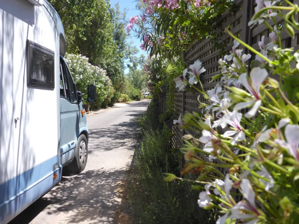 Camping Beauregard PLAGE