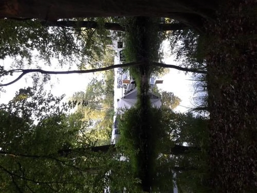 Spreewald-Natur-Campingplatz