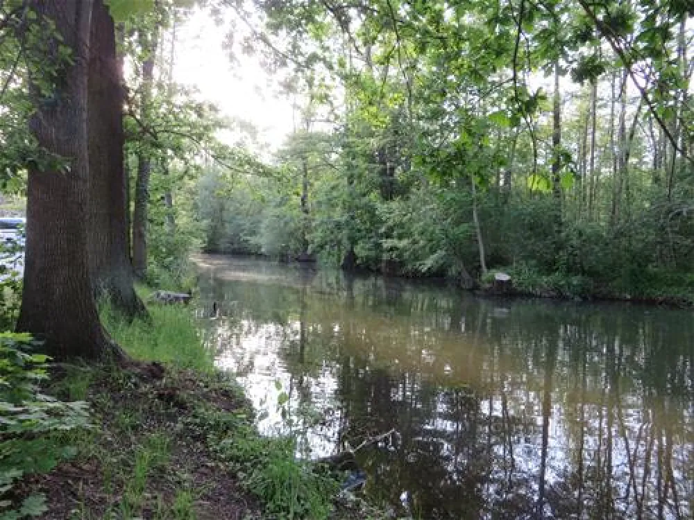 Spreewald-Natur-Campingplatz