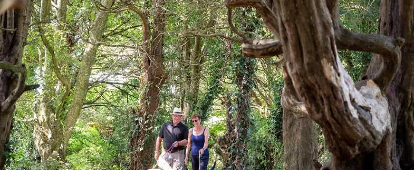 Slindon Camping and Caravanning Club Site