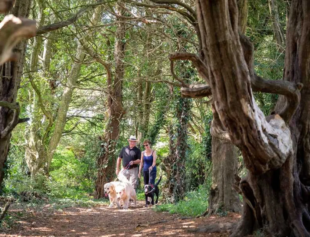 Slindon Camping and Caravanning Club Site