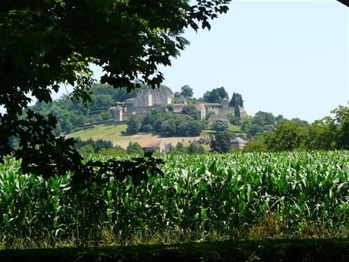 Camping La Cabane photo 5
