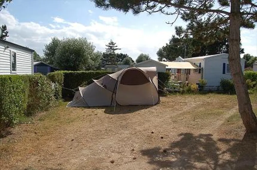 Camping Municipal Le Bois de Brighton Les Pins  