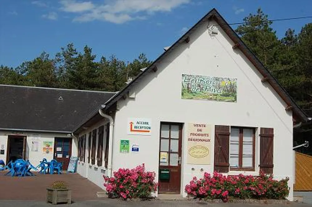 Camping Municipal Le Bois de Brighton Les Pins  