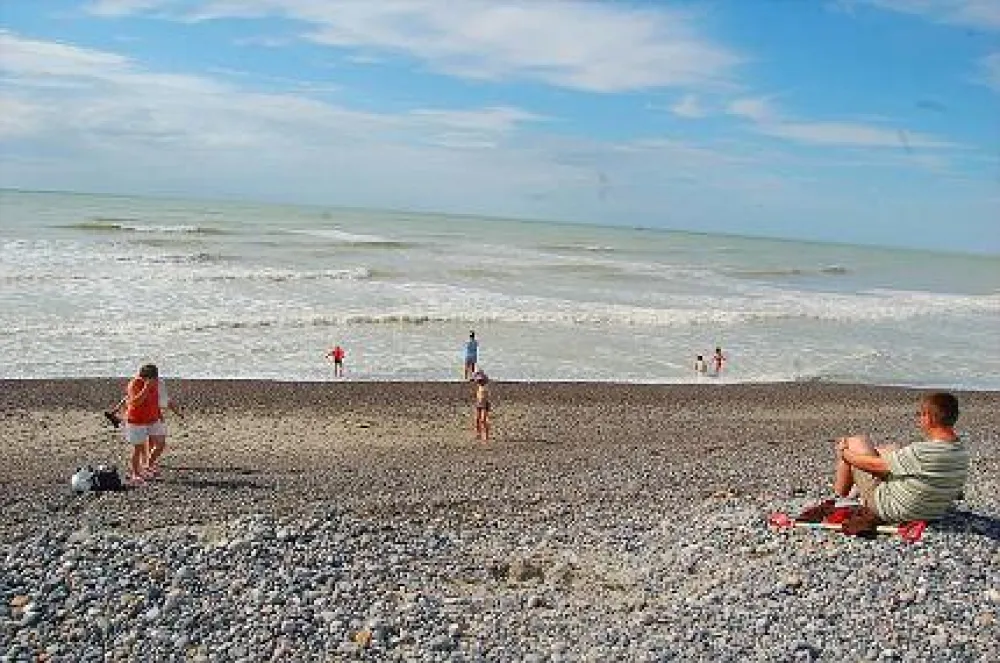 Camping Municipal Le Bois de Brighton Les Pins  