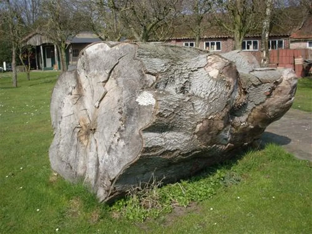 Camping De Ontginner