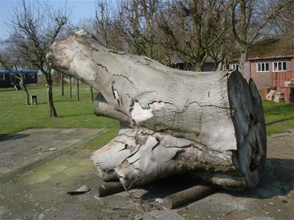 Camping De Ontginner