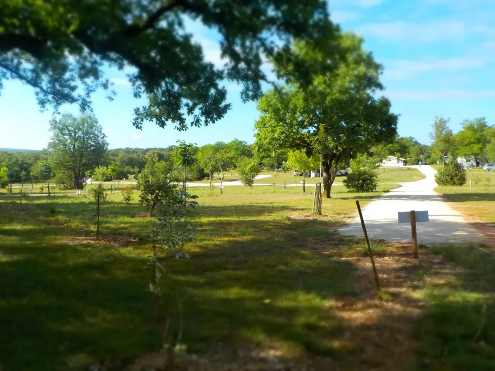 Camping aire naturelle chez Branche