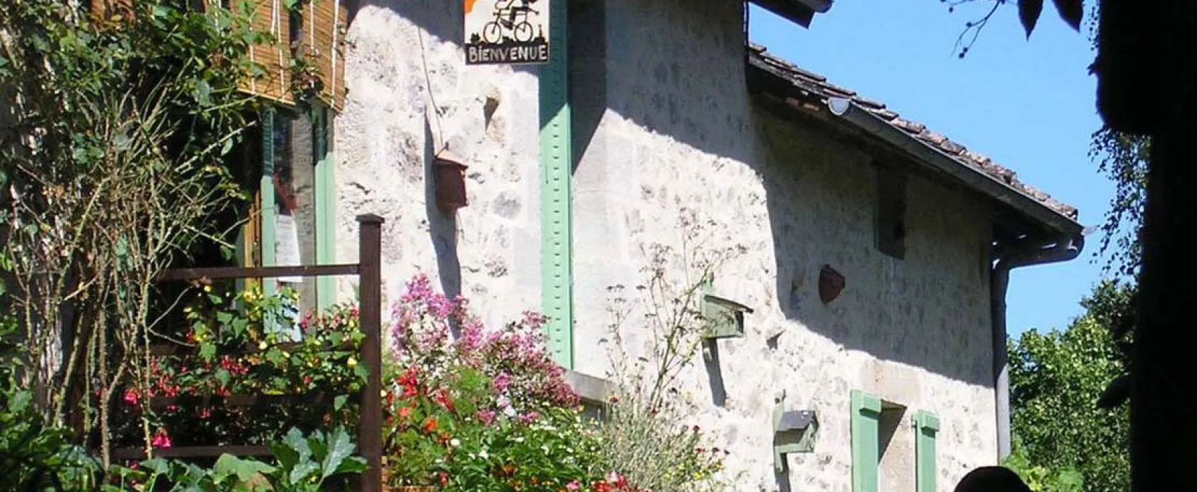 Les Ânes de Vassivière