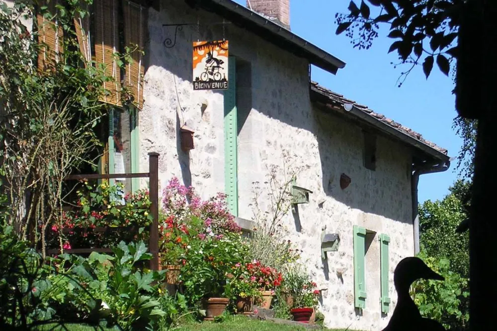 Les Ânes de Vassivière