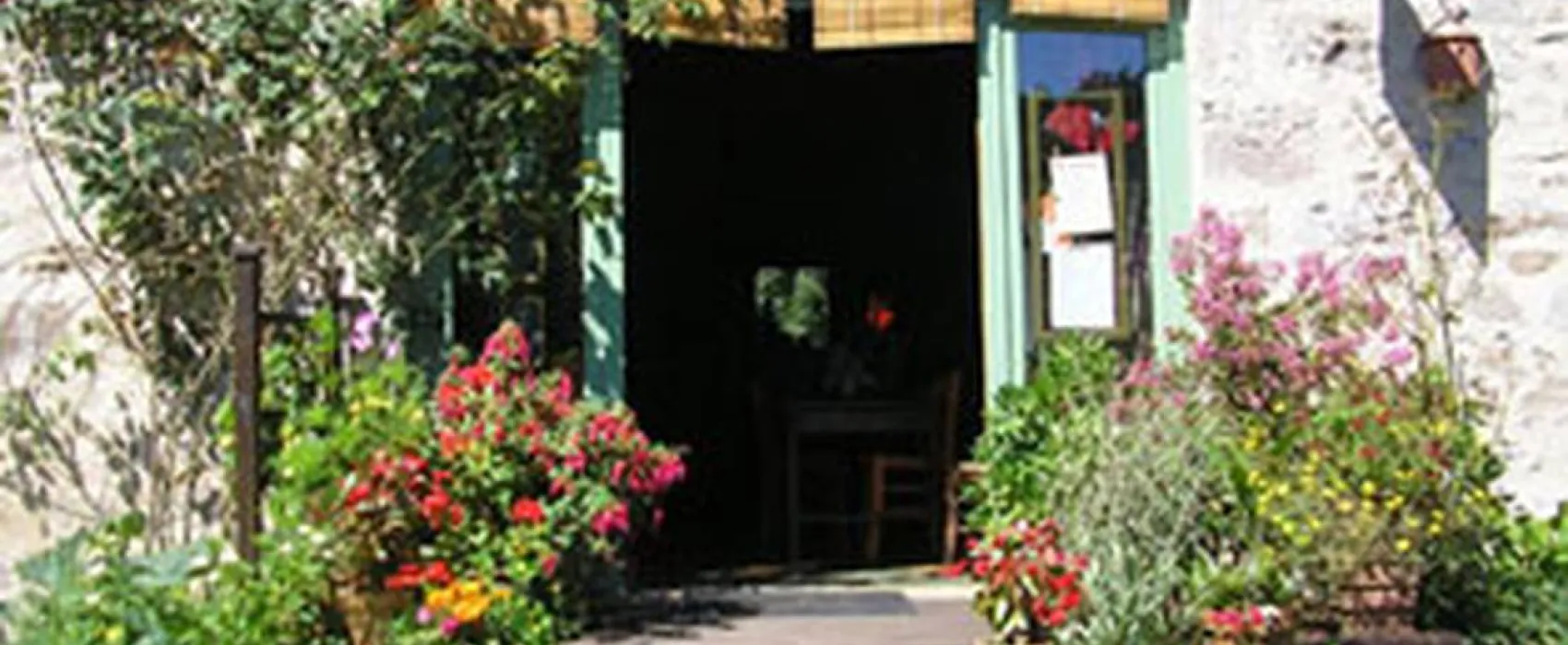 Les Ânes de Vassivière