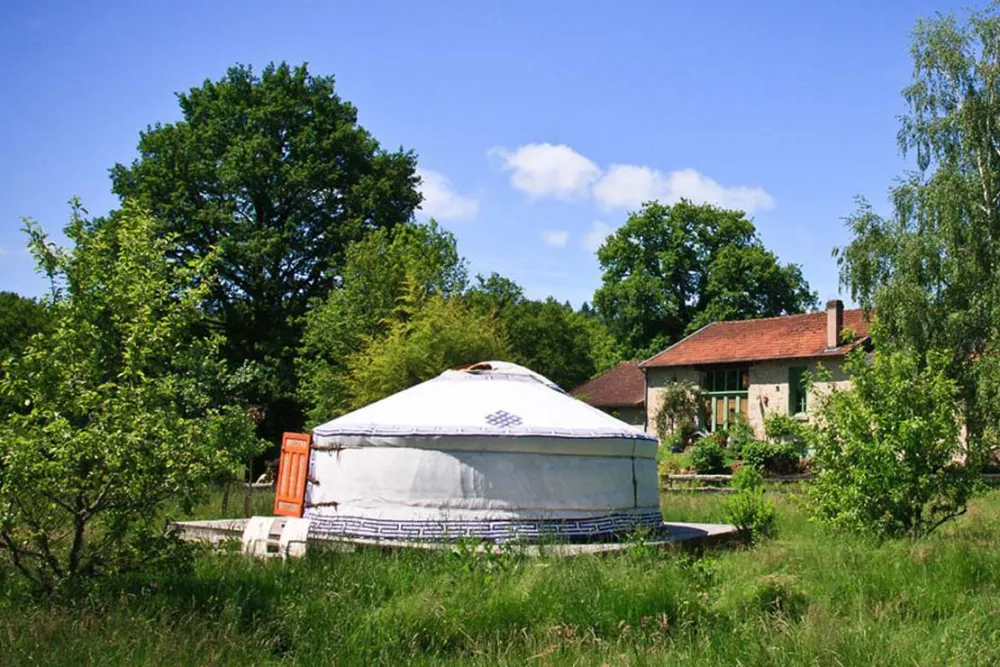Les Ânes de Vassivière