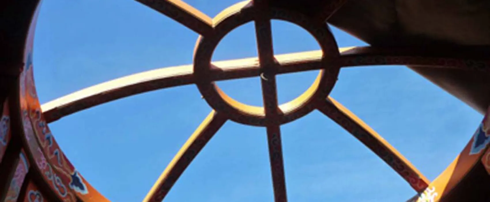 Les Ânes de Vassivière