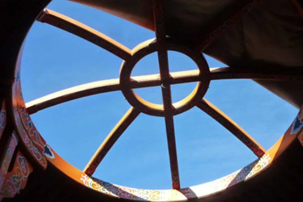 Les Ânes de Vassivière