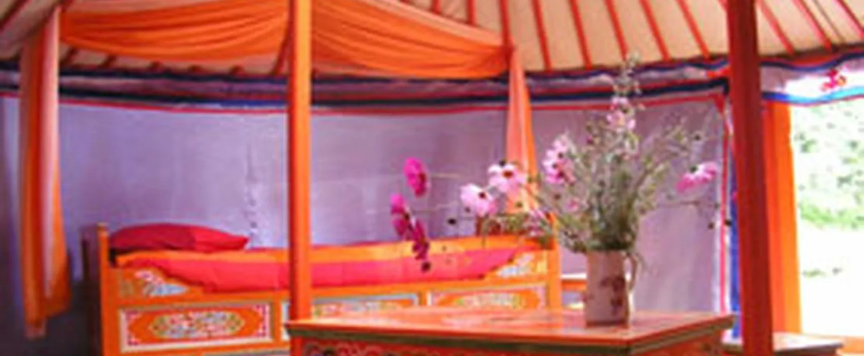 Les Ânes de Vassivière