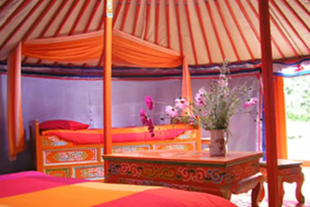 Les Ânes de Vassivière