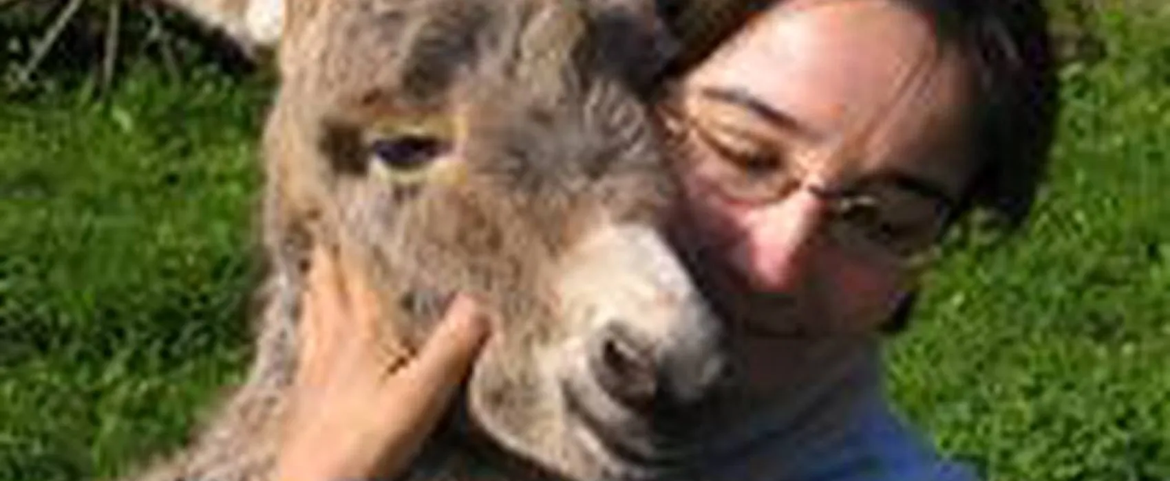 Les Ânes de Vassivière