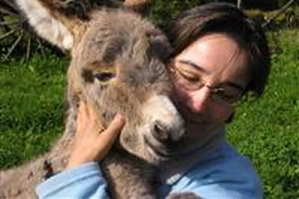 Les Ânes de Vassivière