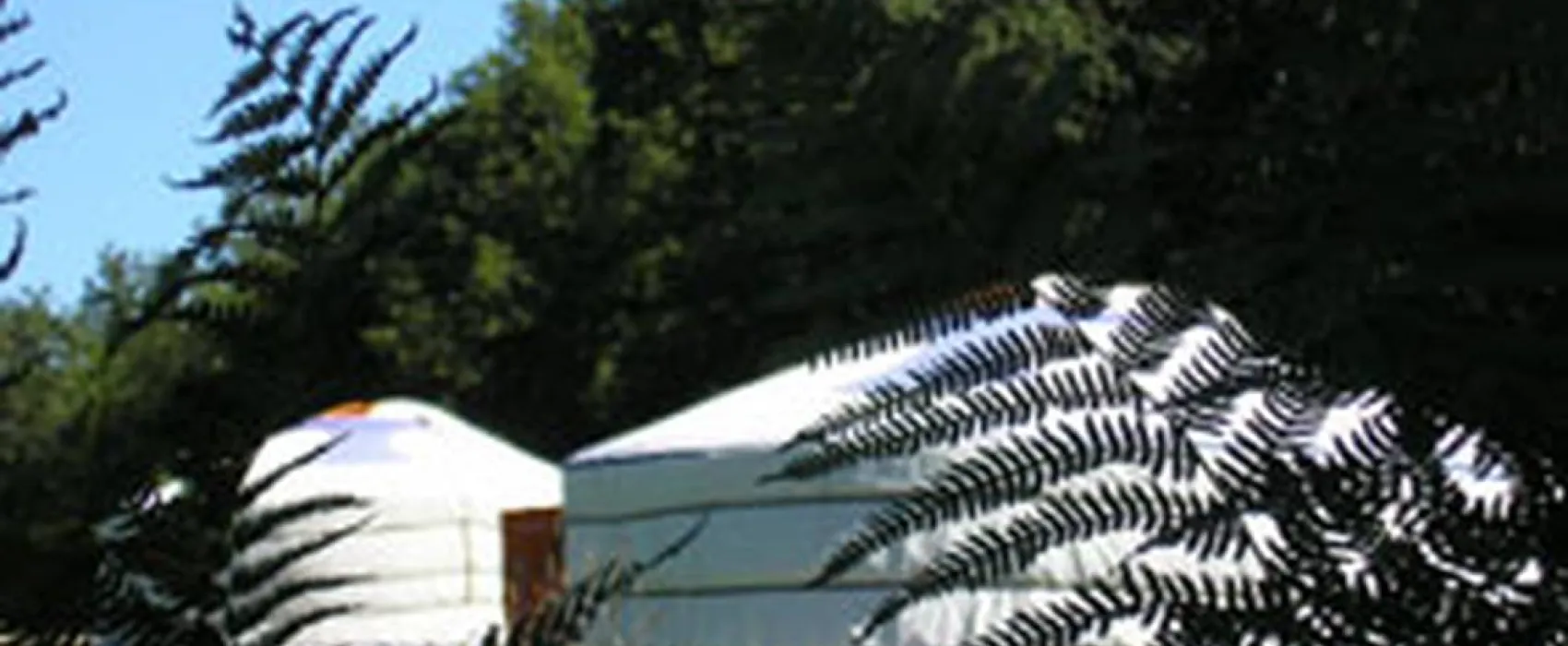 Les Ânes de Vassivière