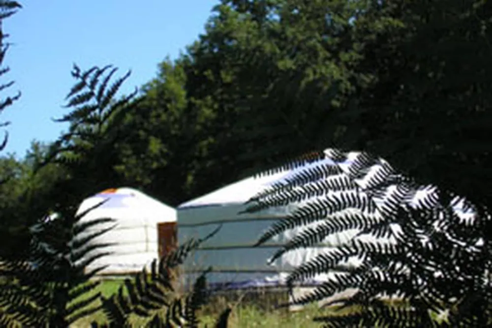 Les Ânes de Vassivière