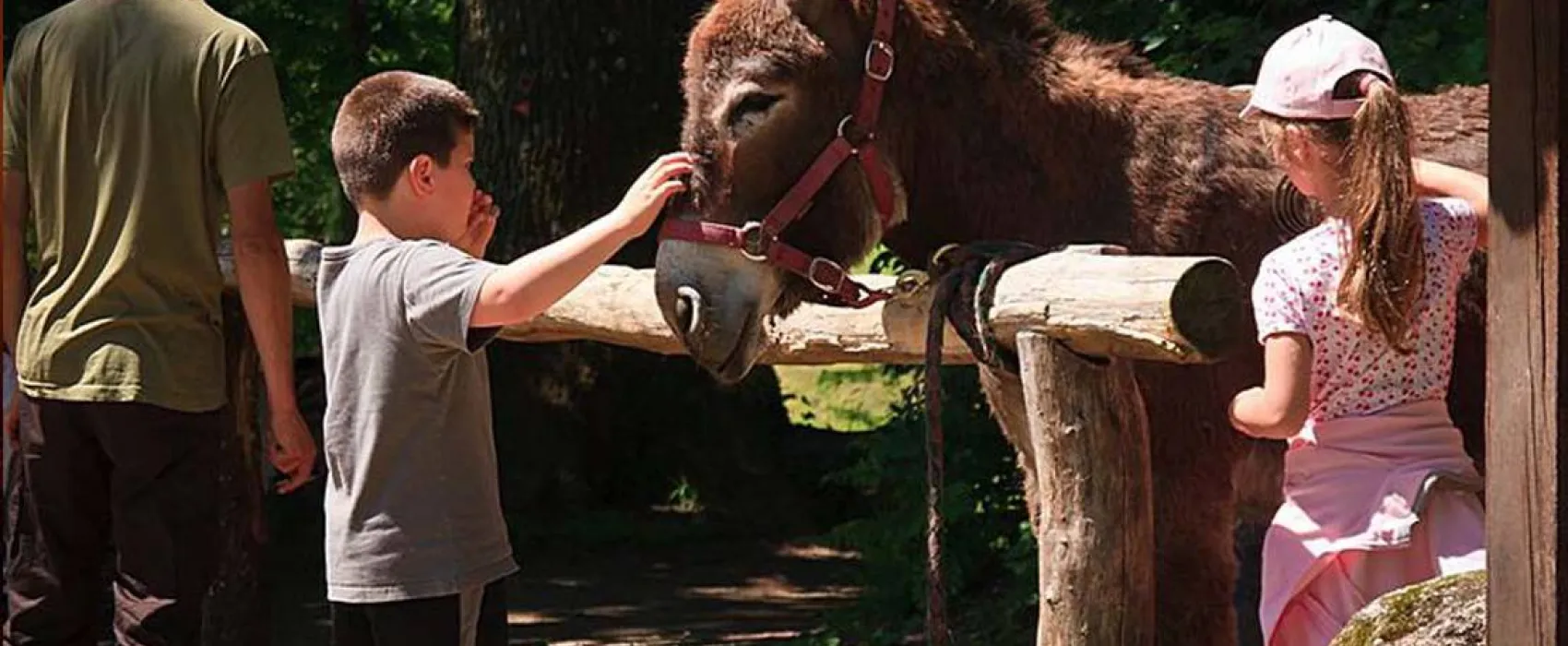 Les Ânes de Vassivière