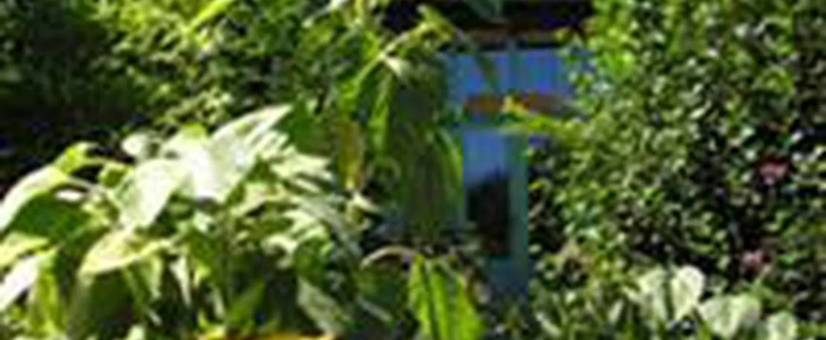 Les Ânes de Vassivière