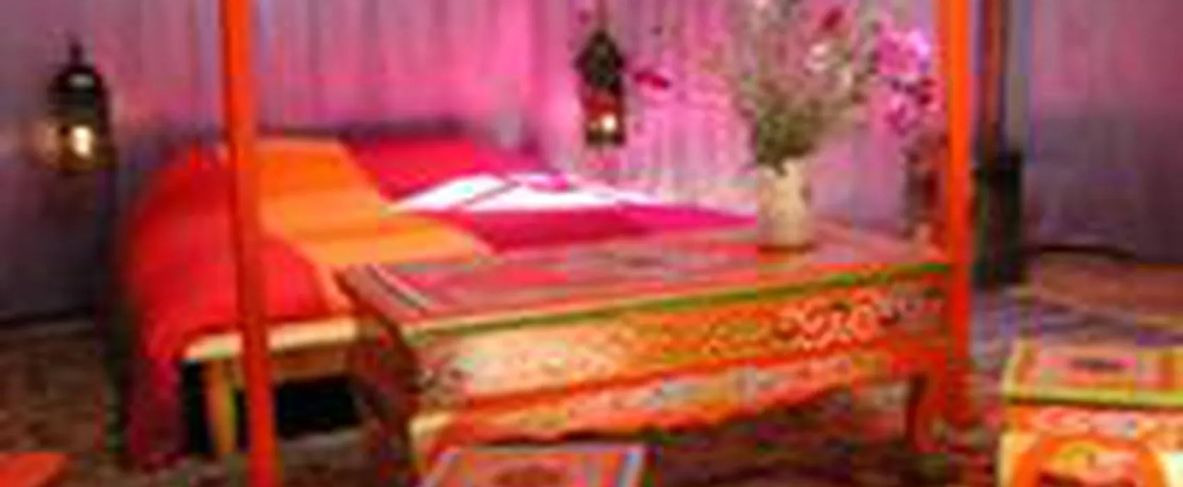 Les Ânes de Vassivière