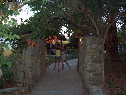 Campsite Ammos photo 3