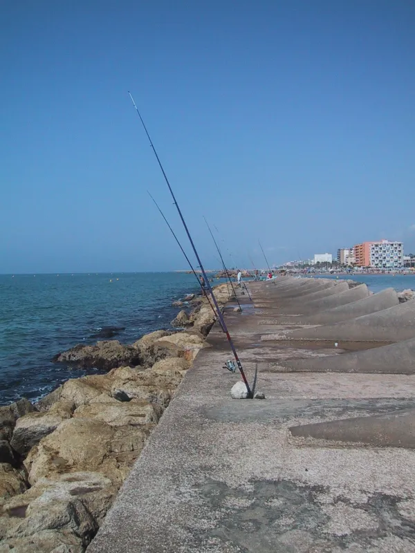 Camping Mar De Cunit