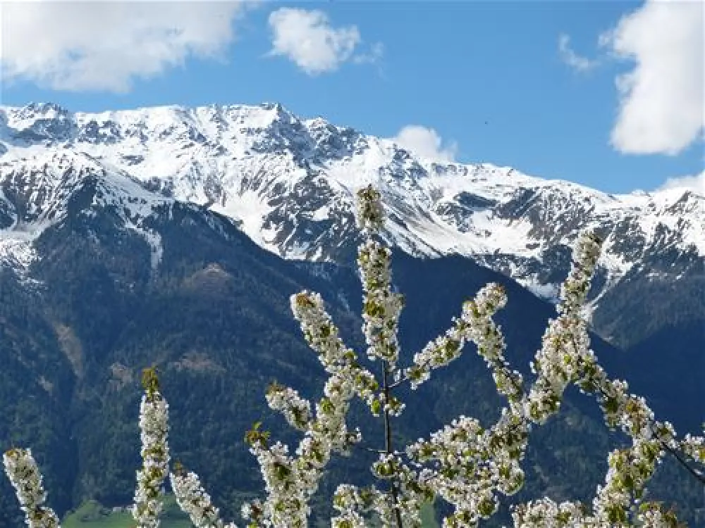 Camping Gloria Vallis