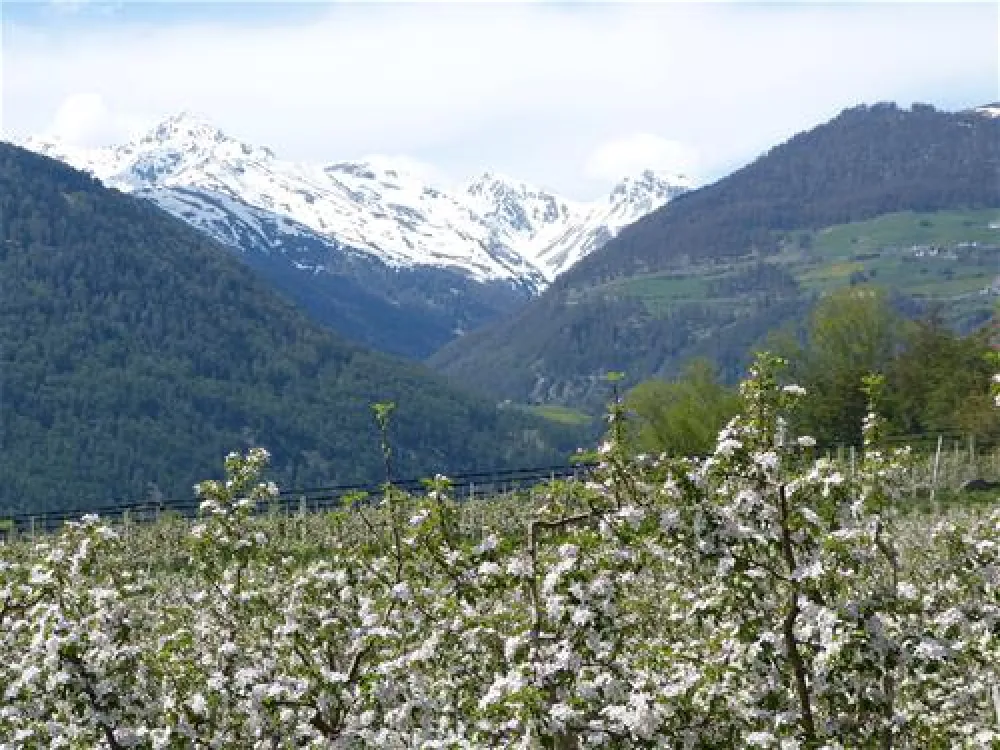 Camping Gloria Vallis