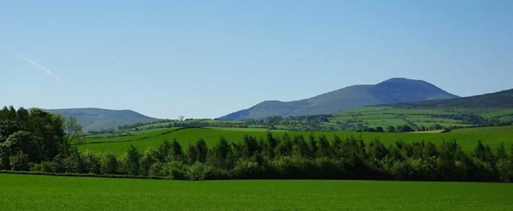 The Larches Caravan Park
