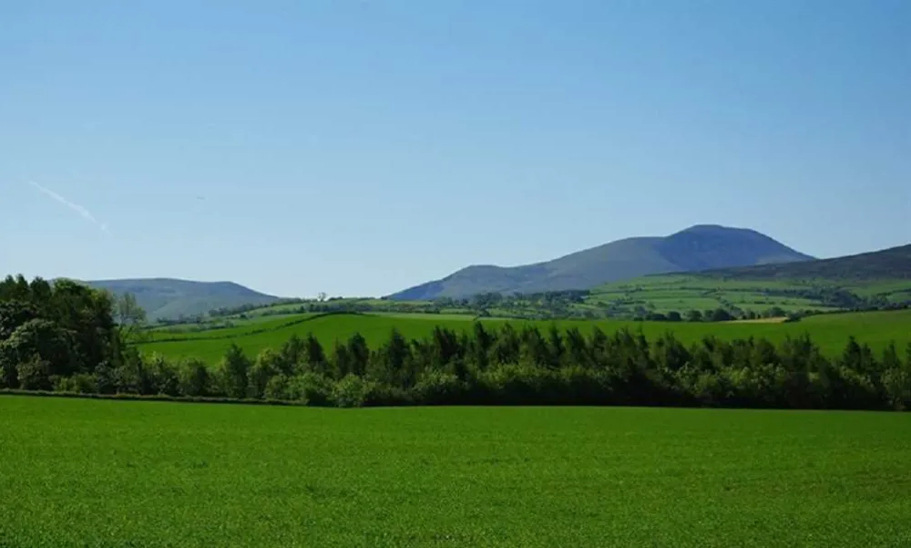 The Larches Caravan Park