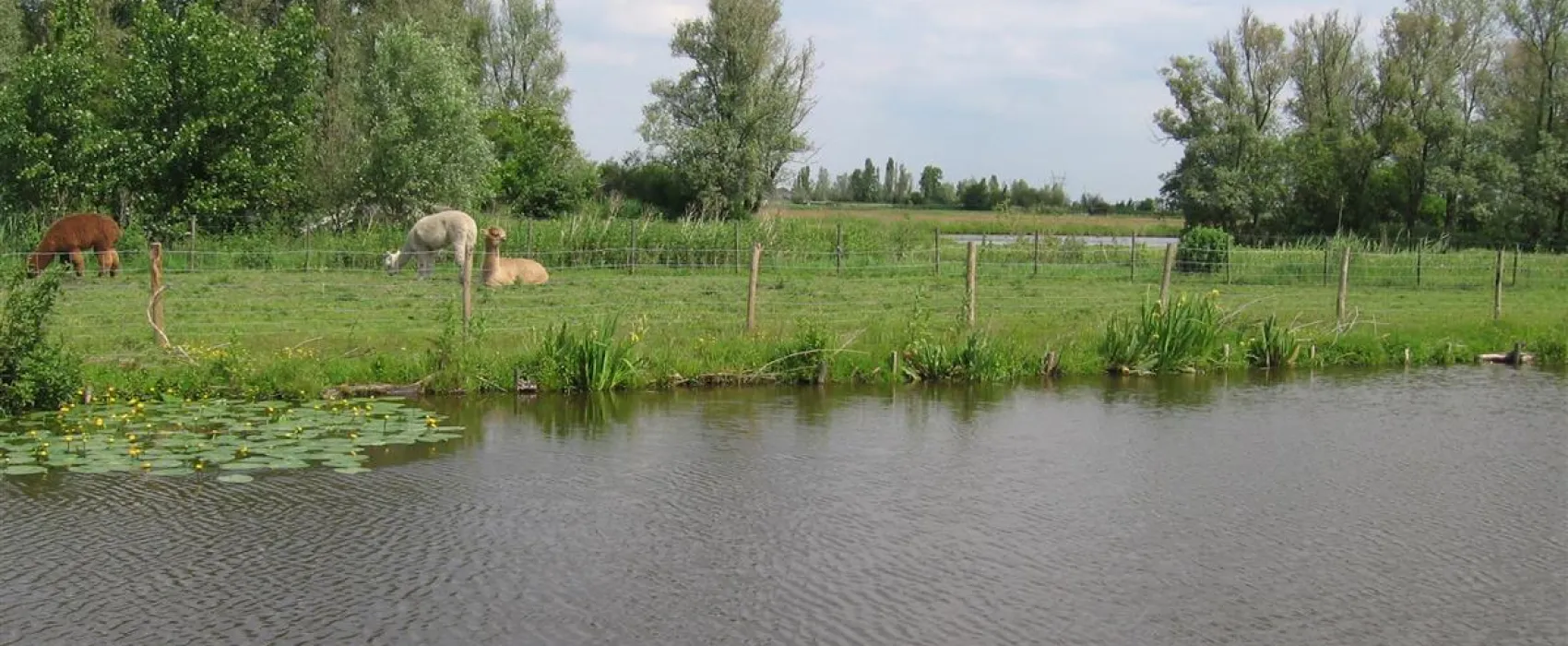 Camping tuinderij Welgelegen